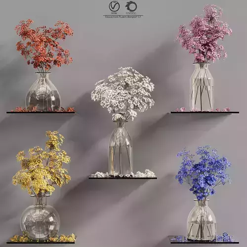 Collaction Plants Bouquet 17