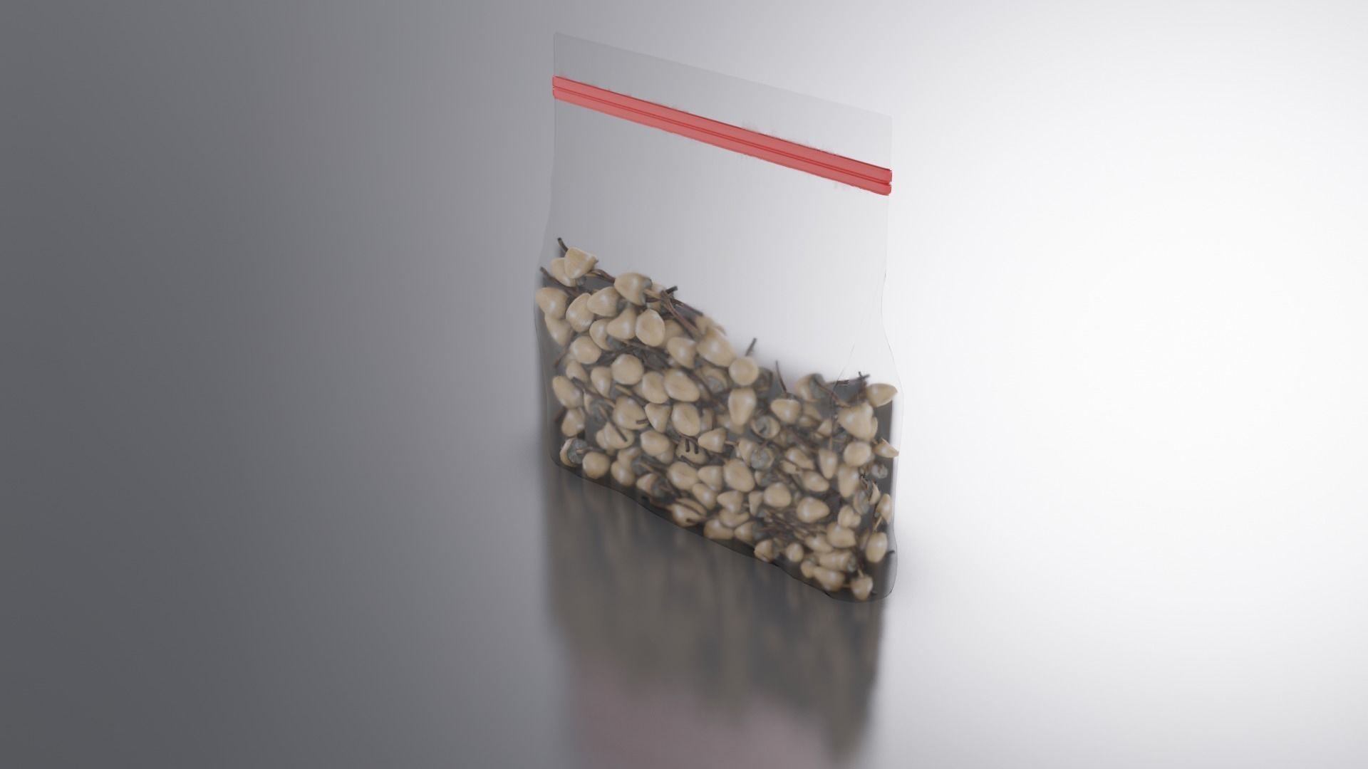 Magic Mushroom Bag Low-poly 3D model_6