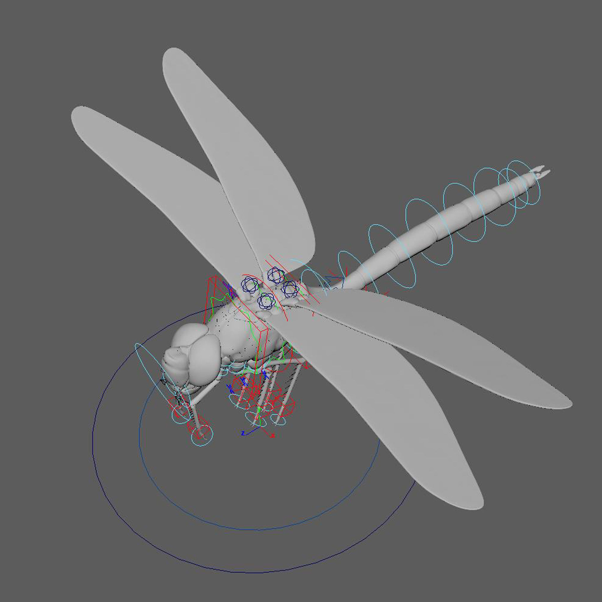 Anax Imperator 3D model_12