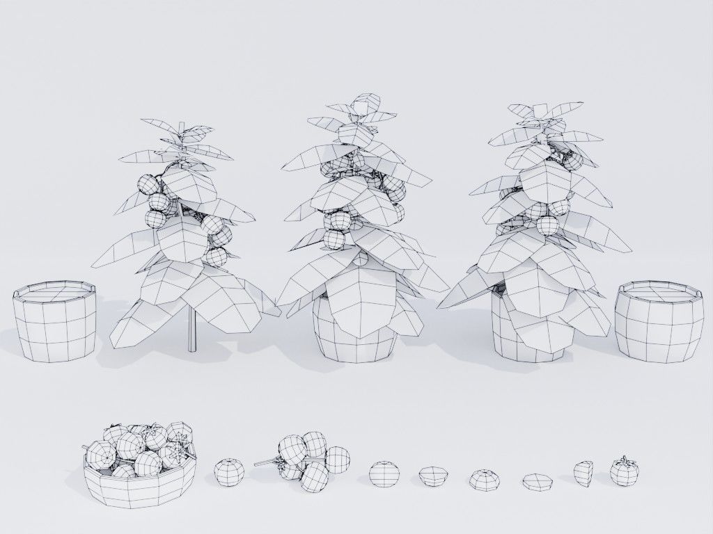 Low poly hand-painted tomatoes set Low-poly 3D model_1