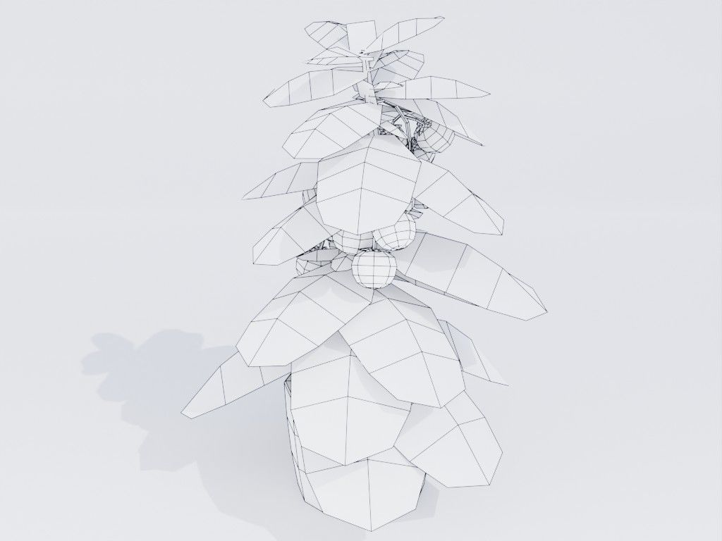 Low poly hand-painted tomatoes set Low-poly 3D model_13