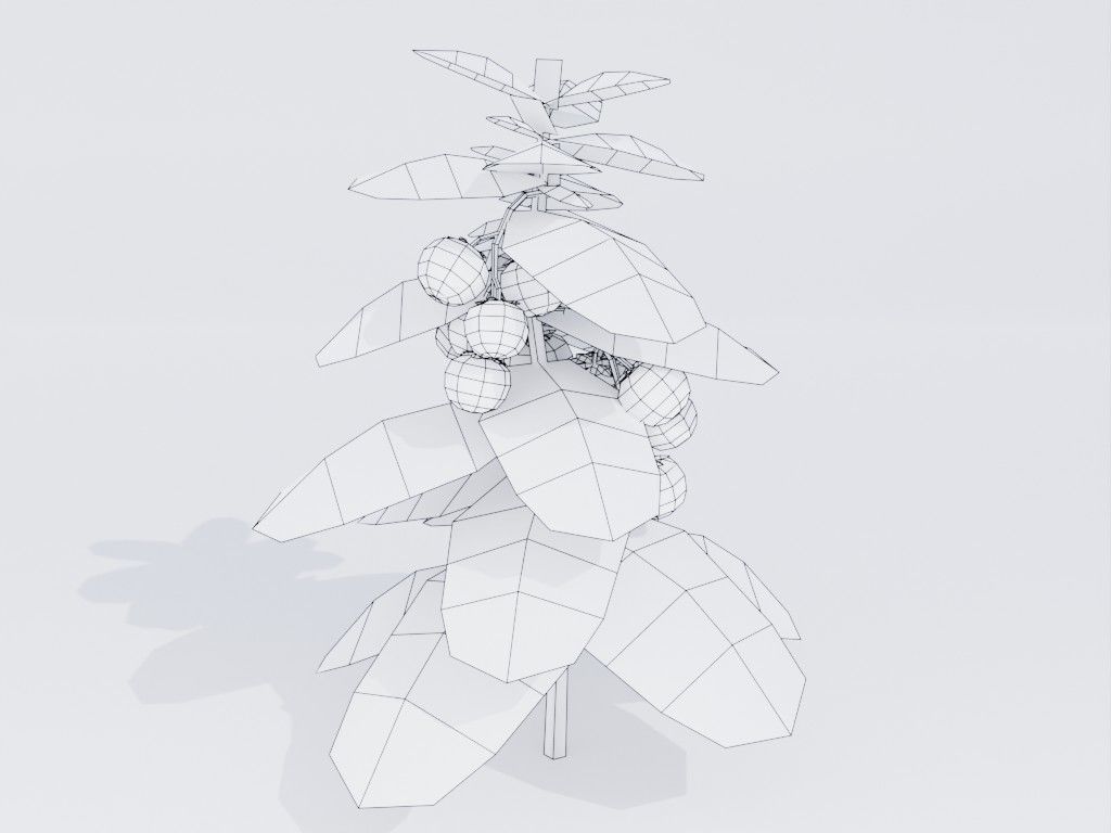 Low poly hand-painted tomatoes set Low-poly 3D model_9