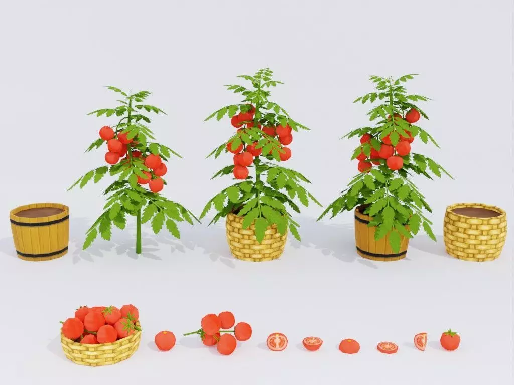 Low poly hand-painted tomatoes set Low-poly 3D model_0