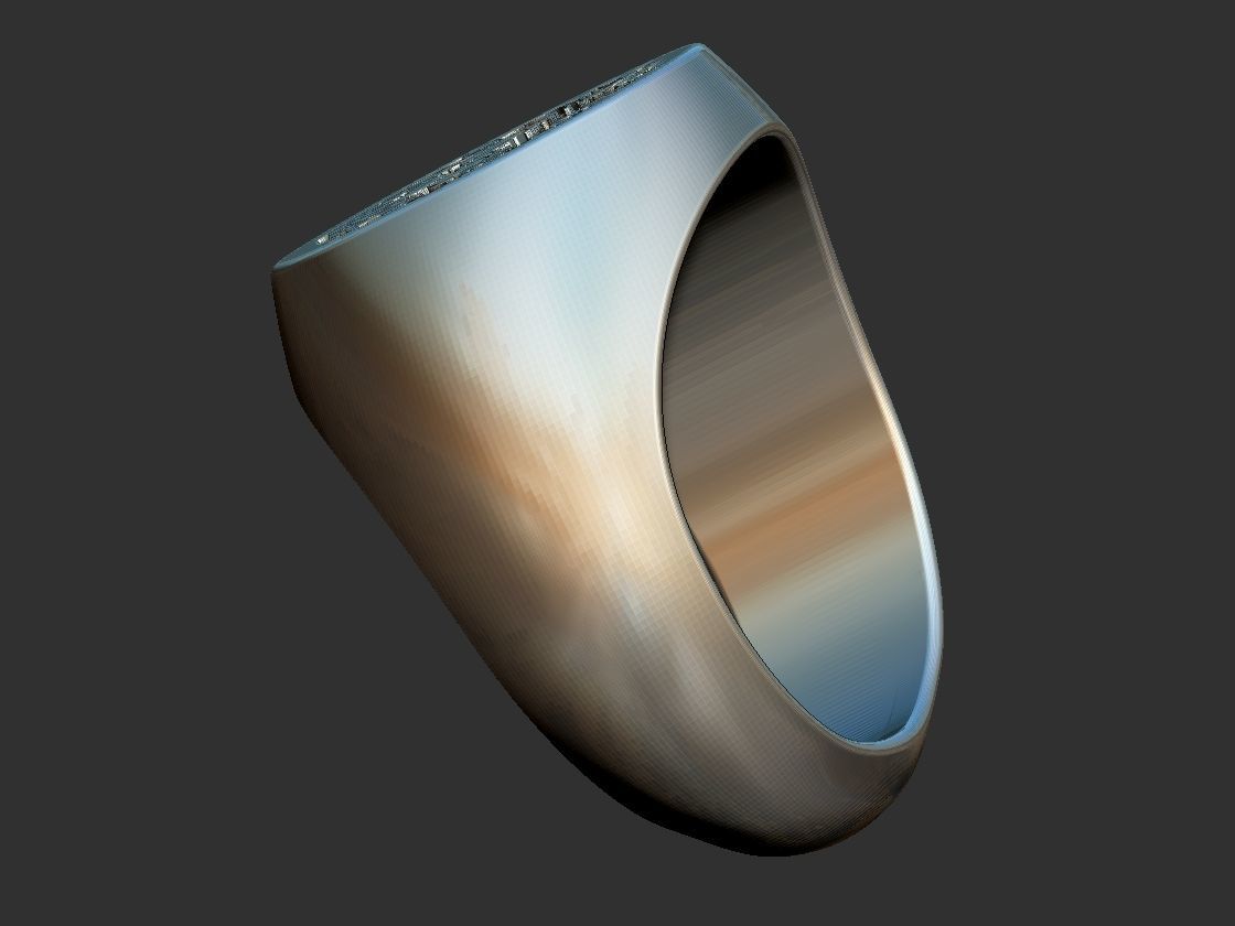 Coat of Arms Cinet Ring 3D print model_6