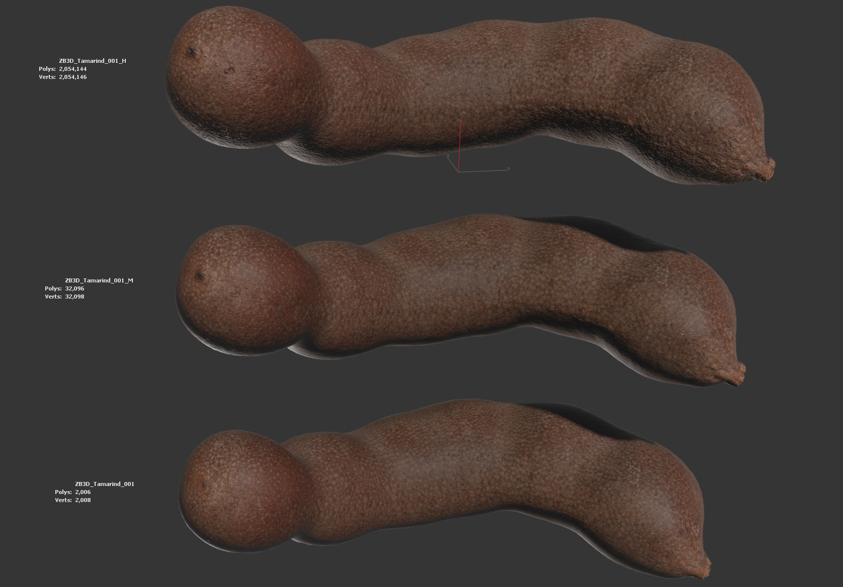 Tamarind 3D model_5