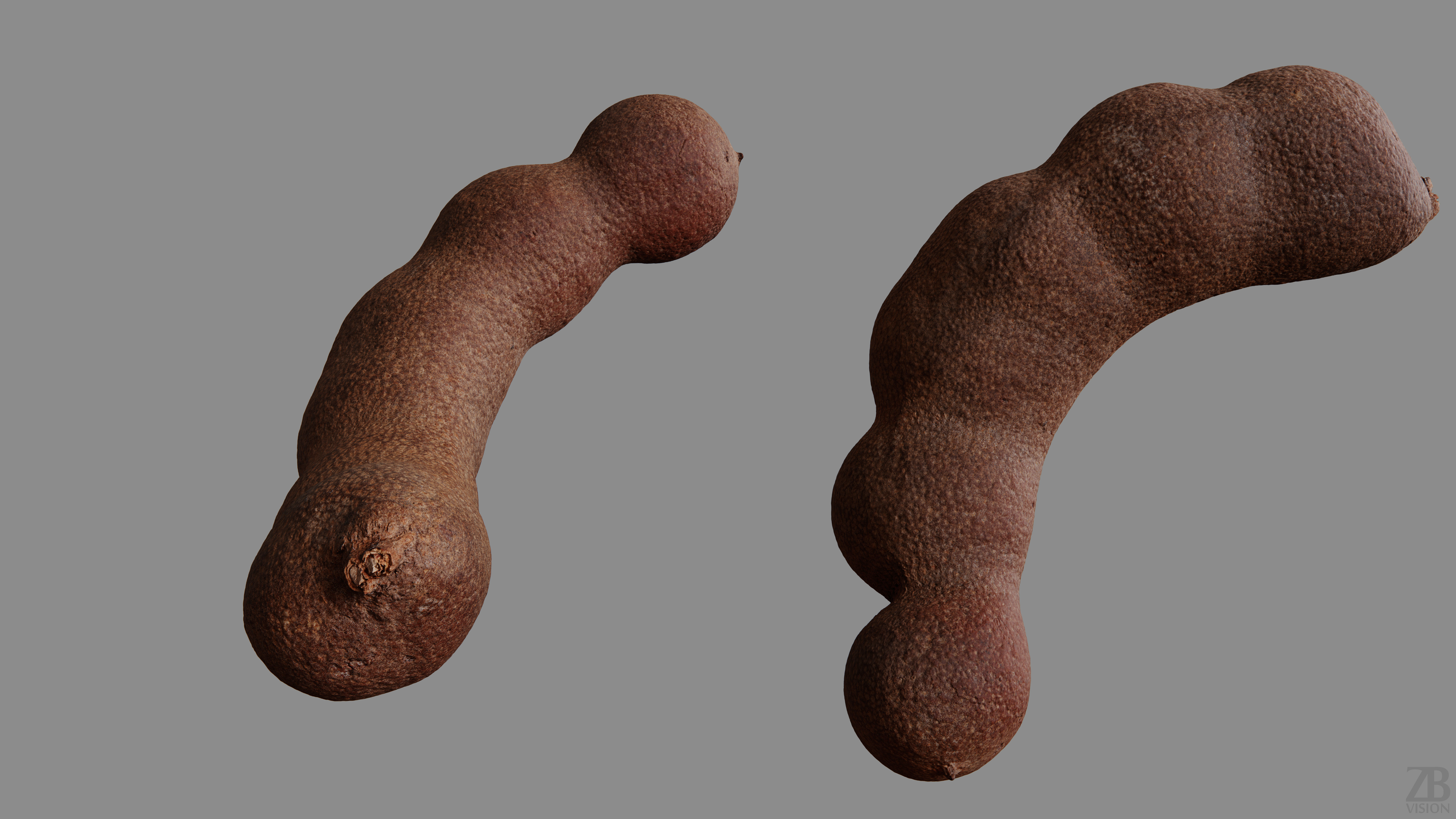 Tamarind 3D model_9