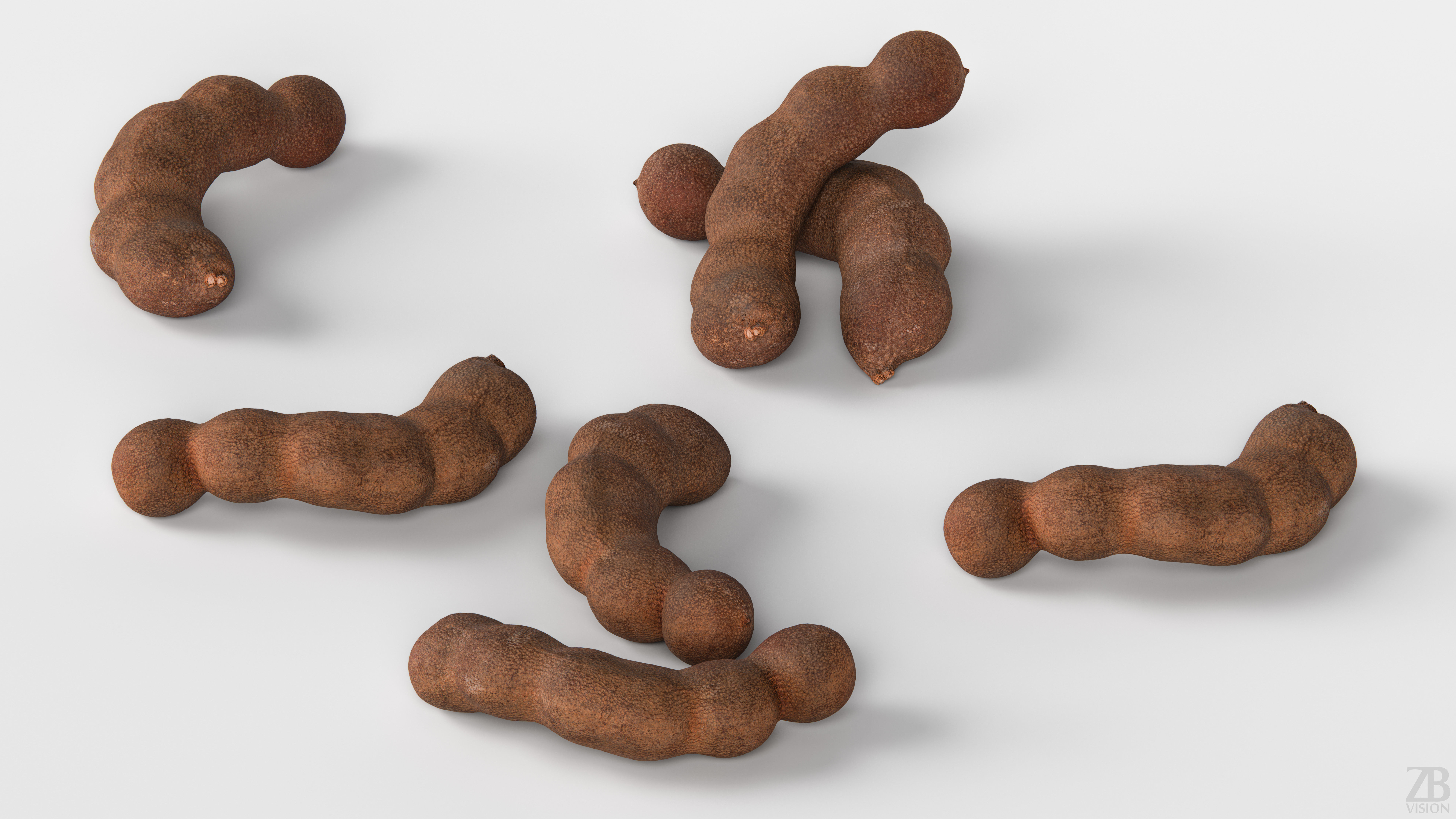 Tamarind 3D model_2