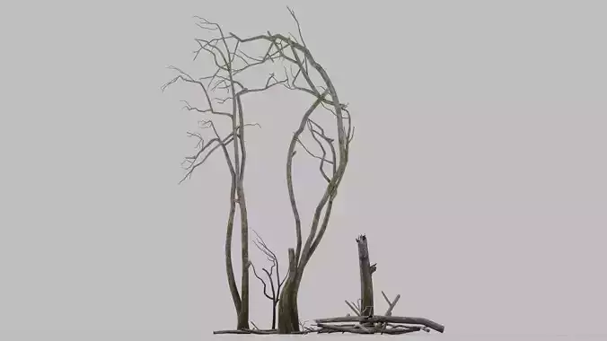 Dead trees and branches Low-poly 3D model