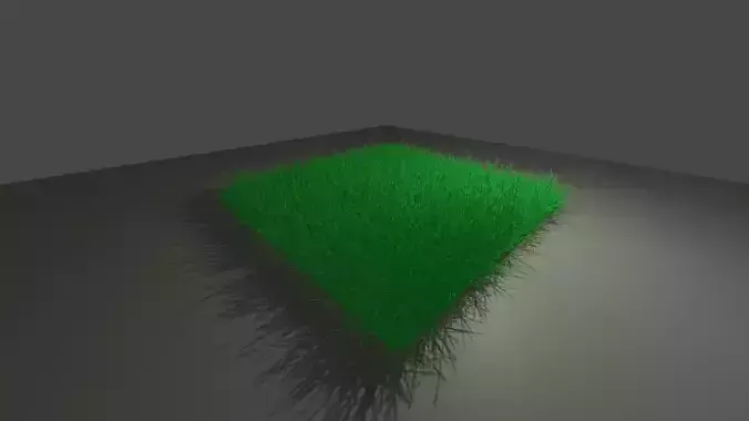 Grass