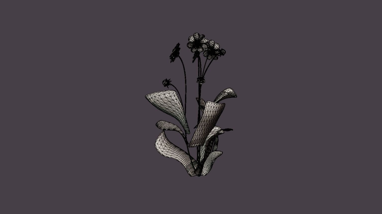 Wishes n Dreams Low-poly 3D model_5