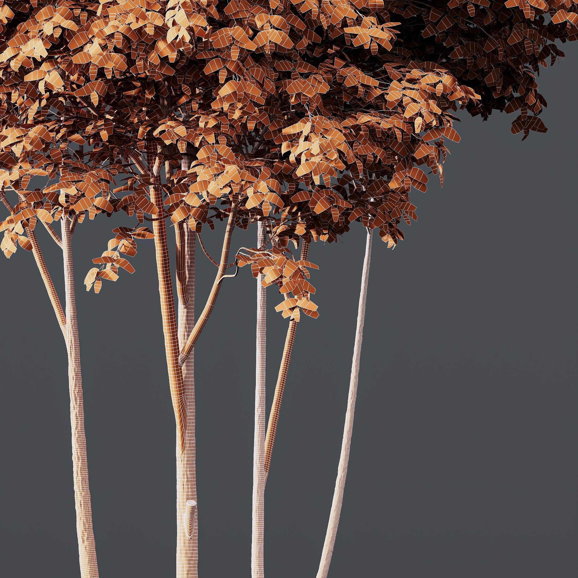 HQ Plants Ash Tree 3D model_3