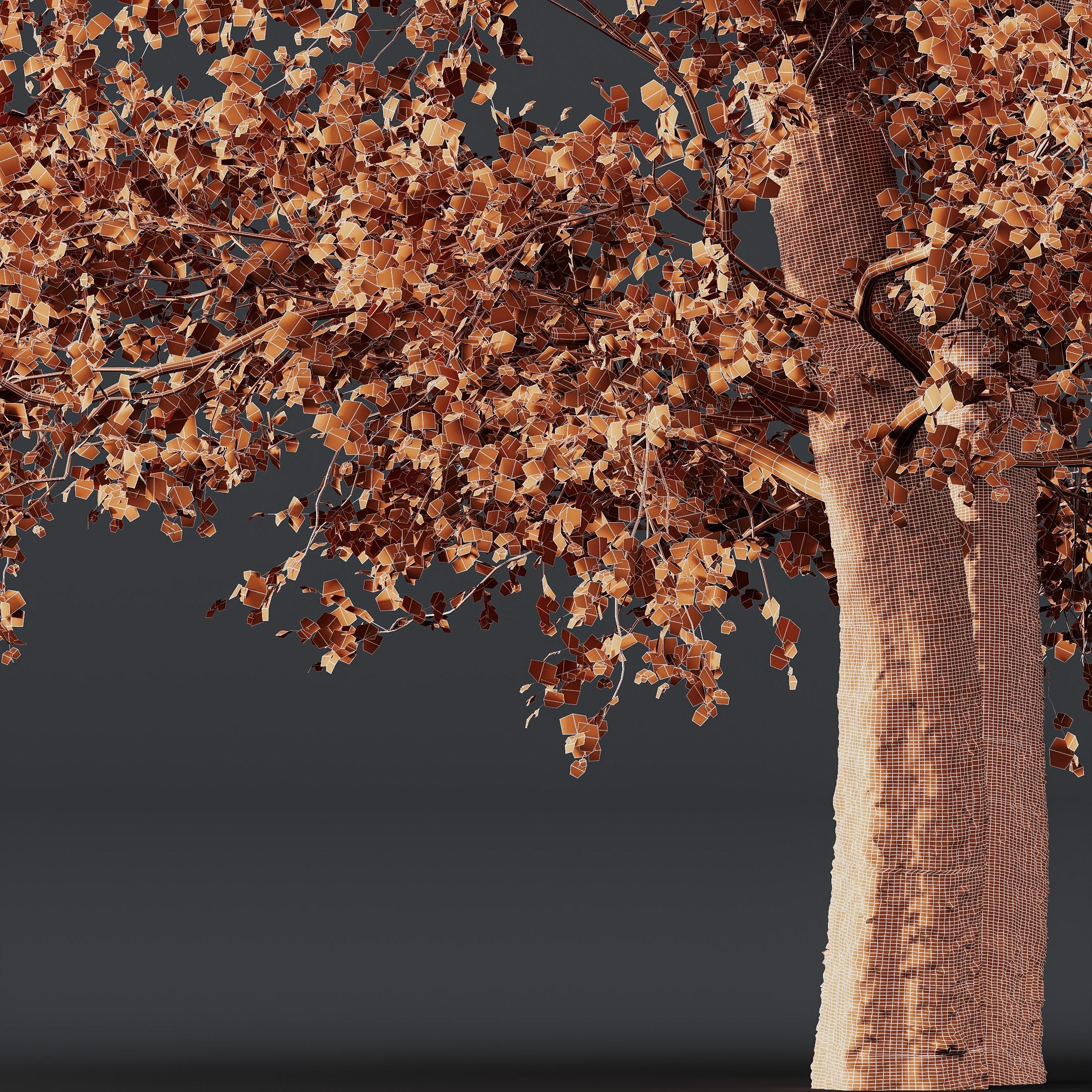 HQ Plants Alnus glutinosa 3D model_3