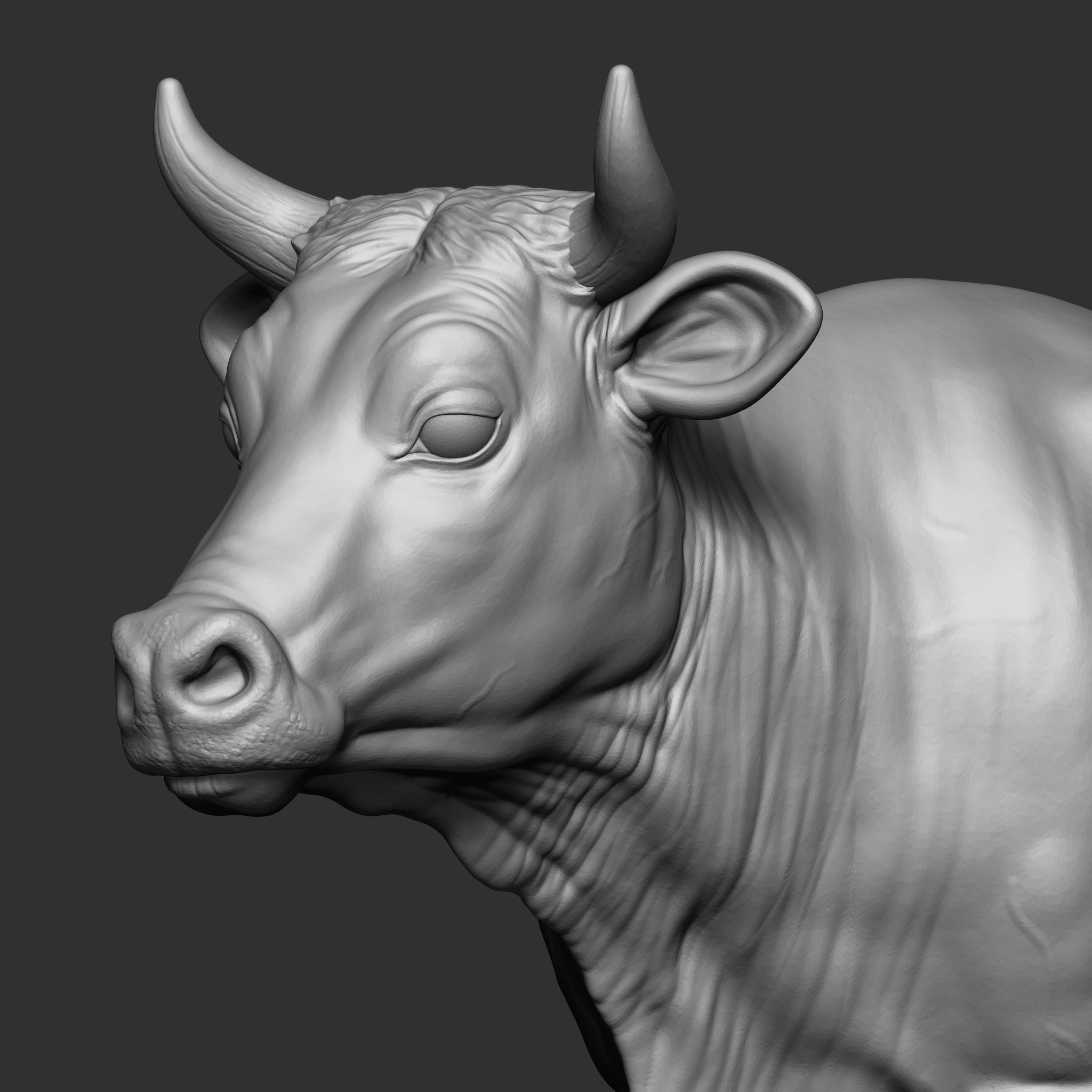 dairy cow 3D print model_3