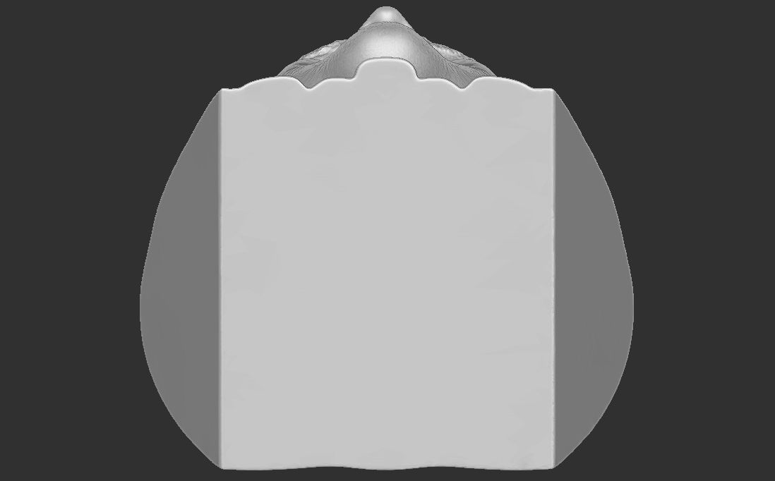 Jay Leno bust for 3D printing 3D print model_27