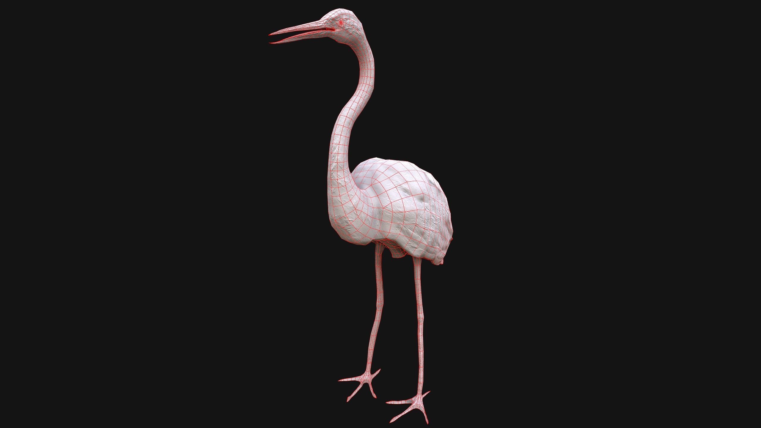 Heron Bird Low-poly 3D model_20