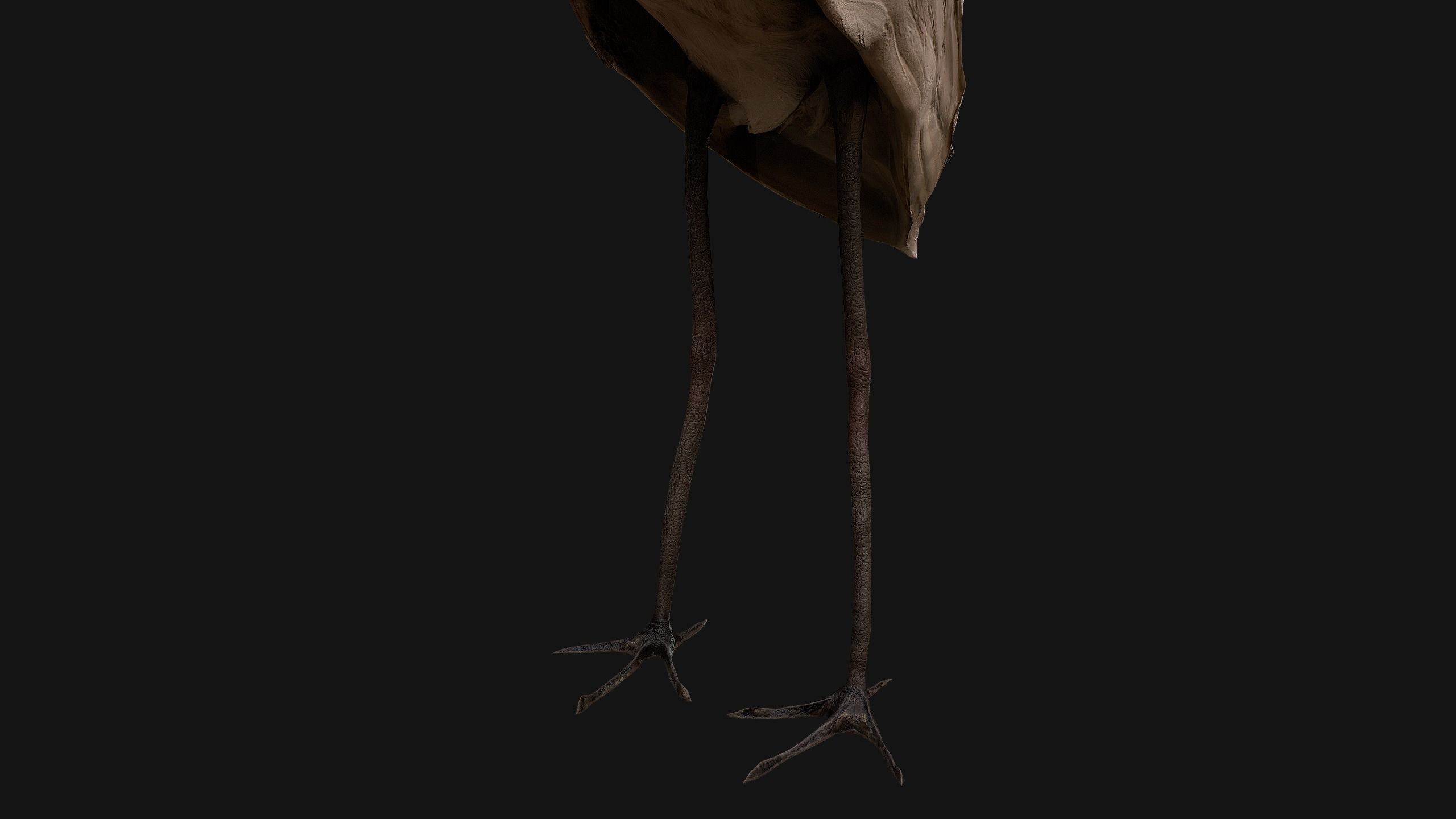 Heron Bird Low-poly 3D model_18