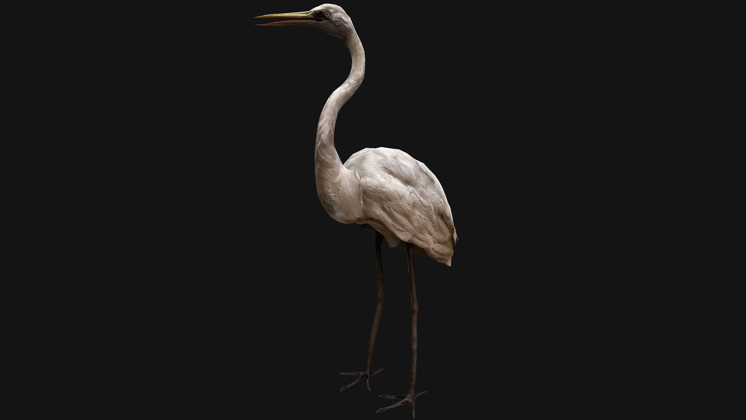 Heron Bird Low-poly 3D model_7