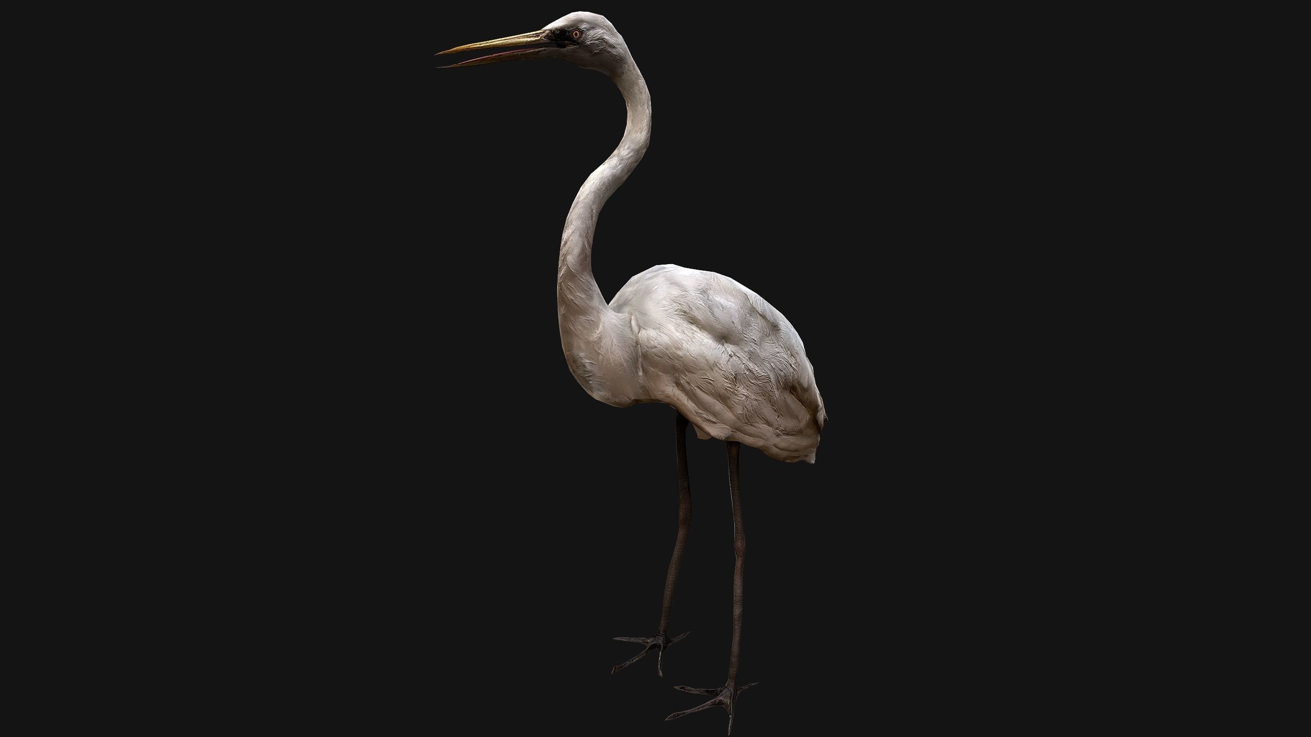 Heron Bird Low-poly 3D model_5