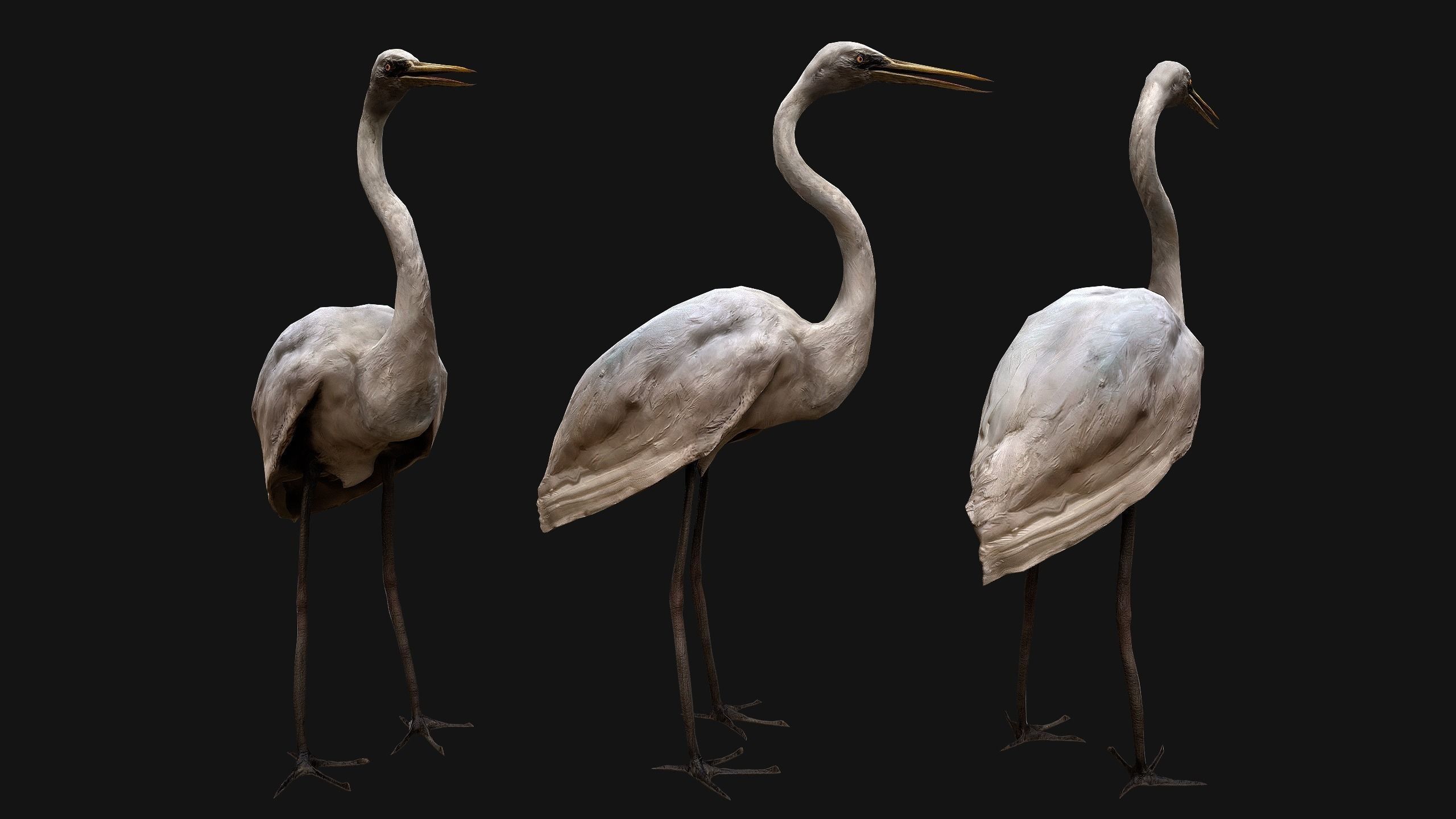 Heron Bird Low-poly 3D model_4