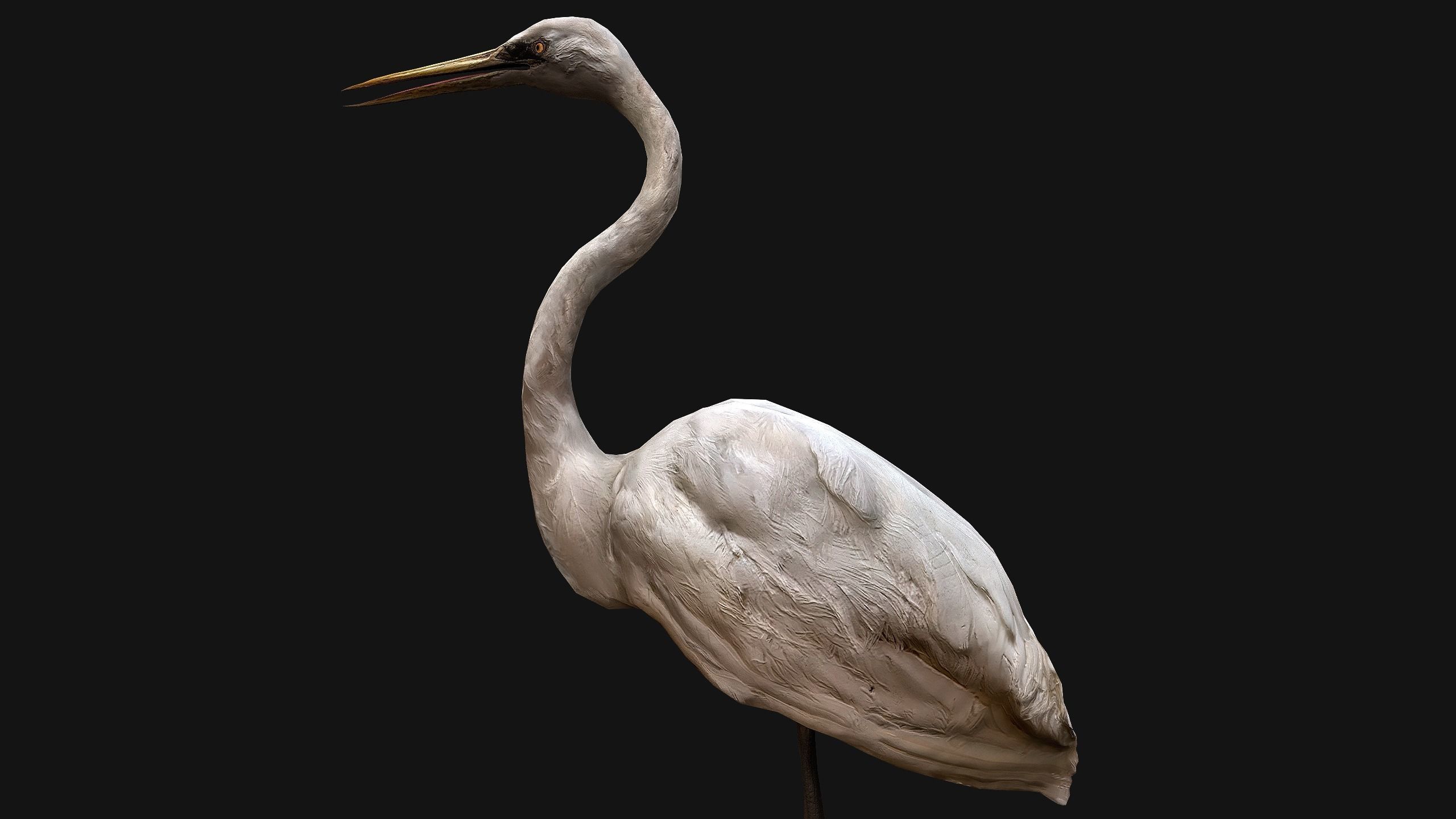 Heron Bird Low-poly 3D model_17