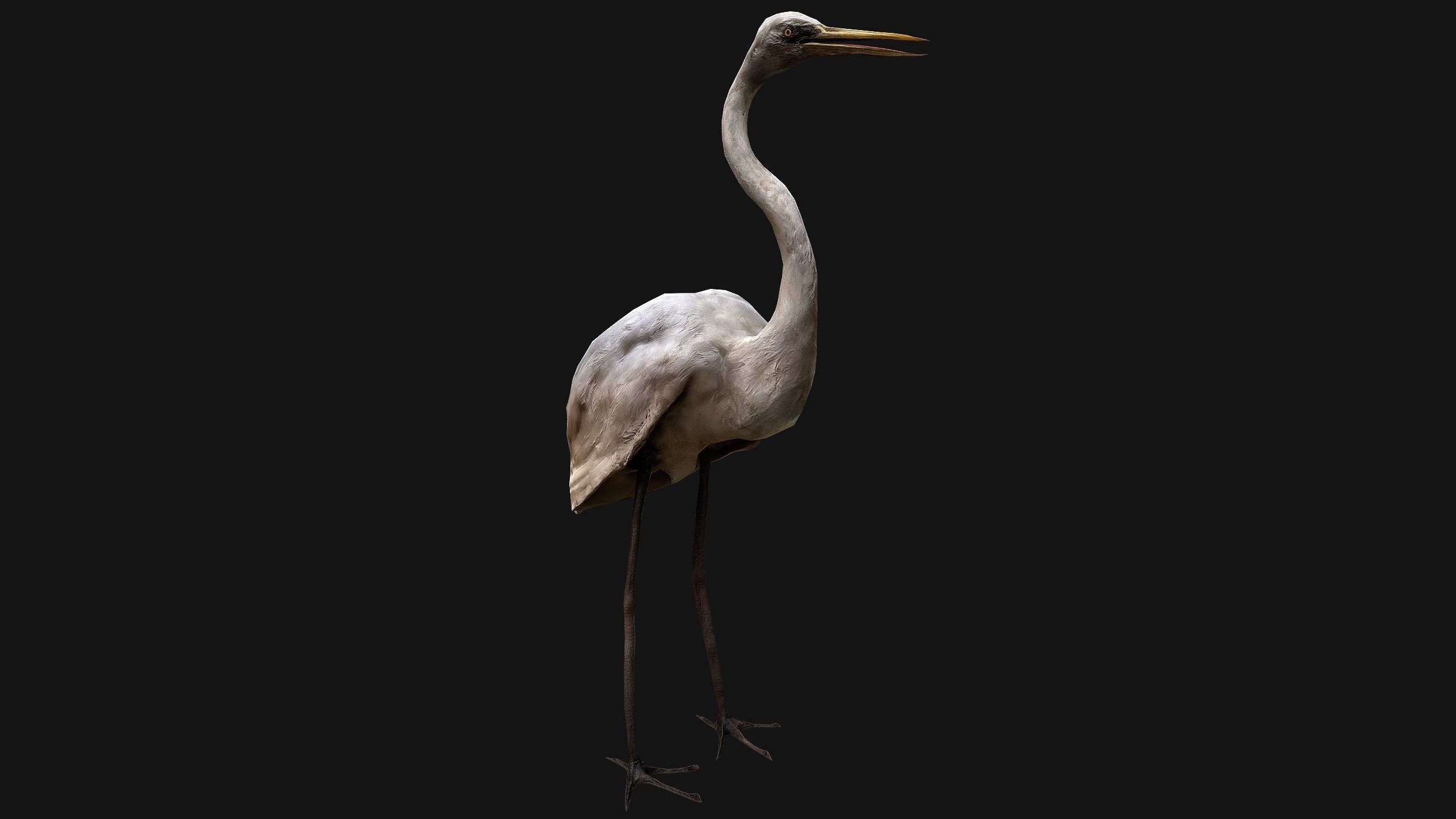 Heron Bird Low-poly 3D model_12