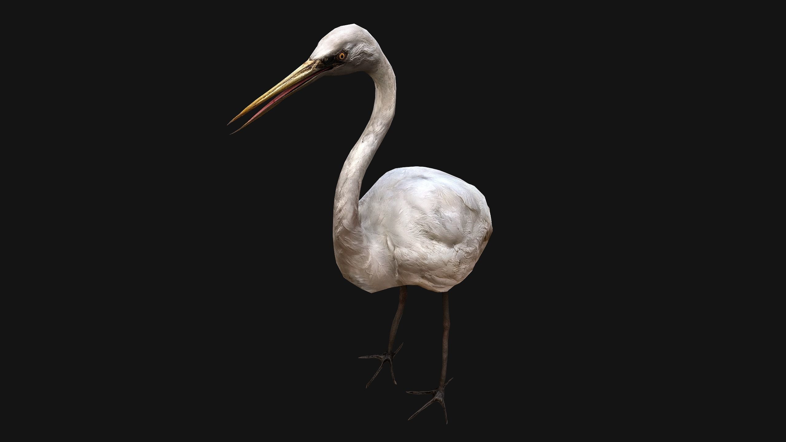 Heron Bird Low-poly 3D model_15