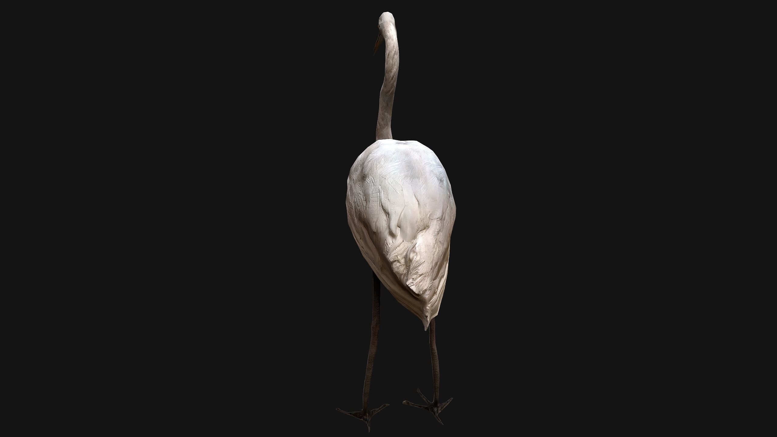 Heron Bird Low-poly 3D model_9