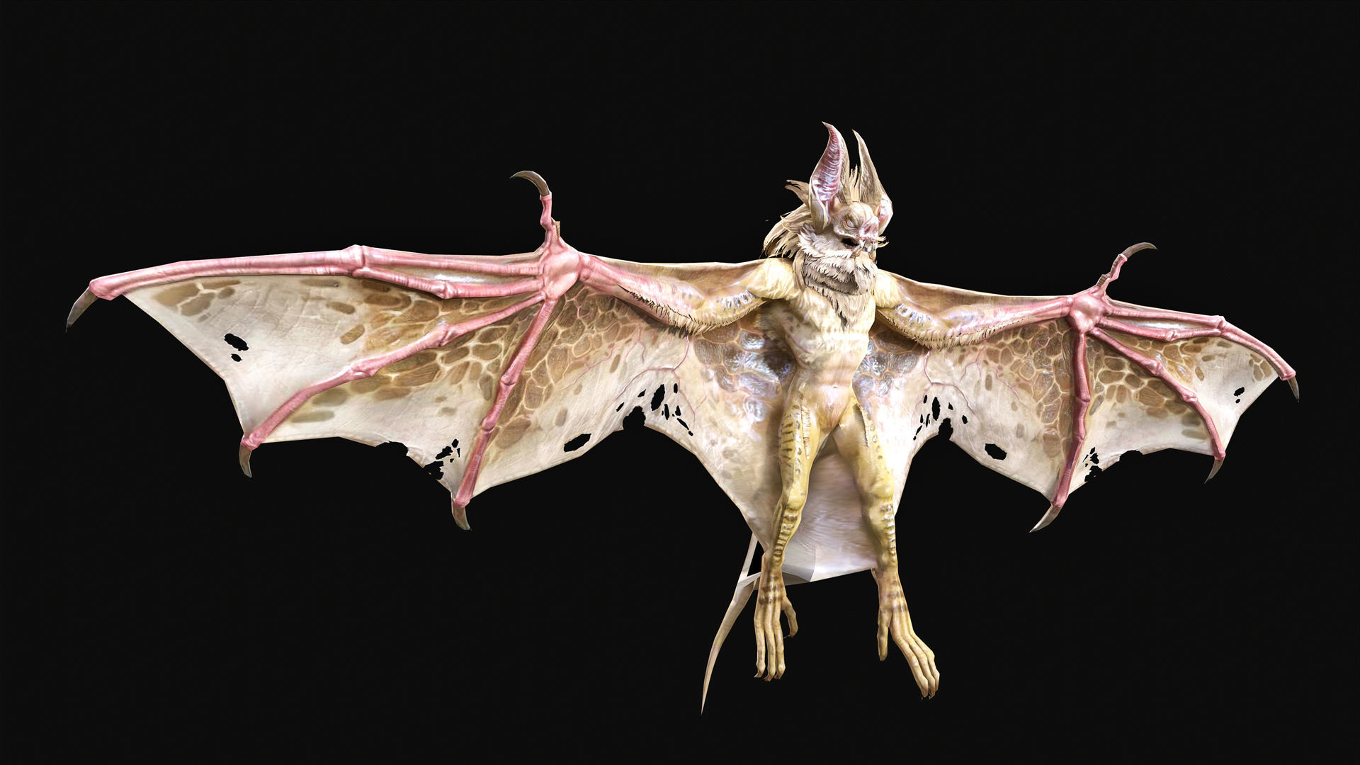 Low Poly Bat 3D Animal-Ready for Games-10 Animations Low-poly 3D model_7