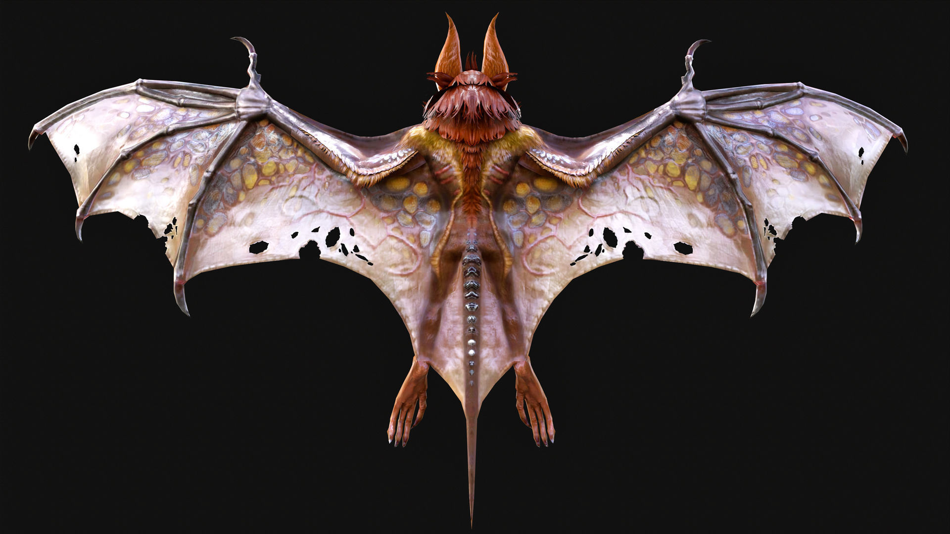 Low Poly Bat 3D Animal-Ready for Games-10 Animations Low-poly 3D model_3