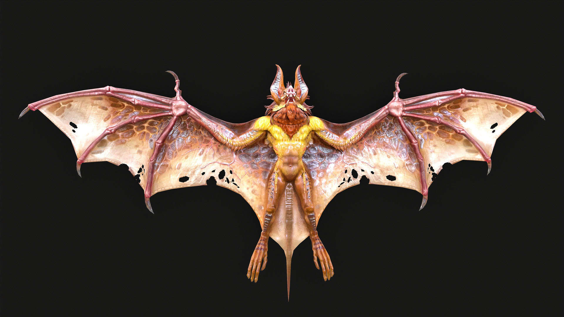 Low Poly Bat 3D Animal-Ready for Games-10 Animations Low-poly 3D model_2
