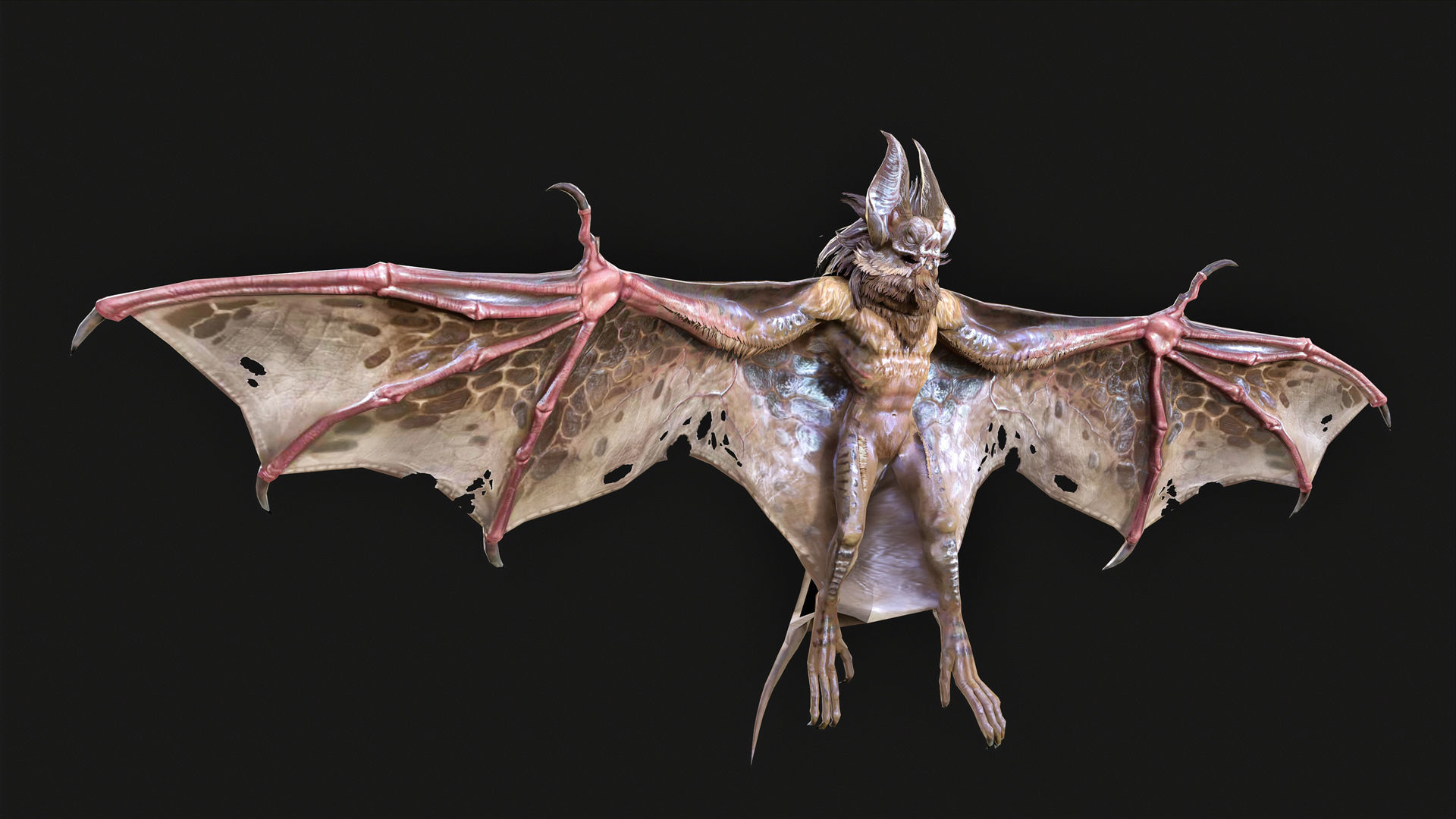 Low Poly Bat 3D Animal-Ready for Games-10 Animations Low-poly 3D model_6