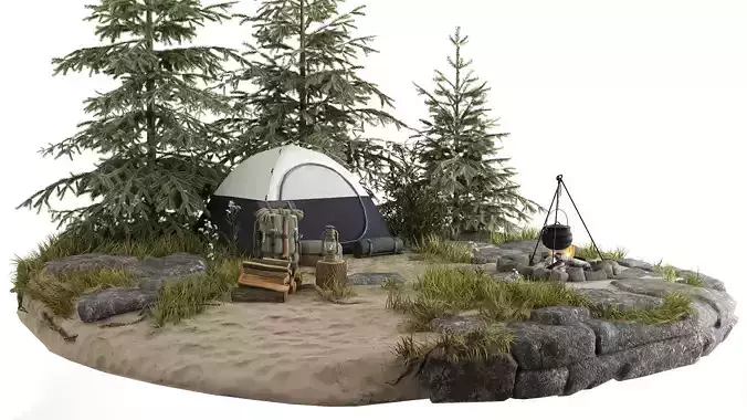 Camping in the Forest