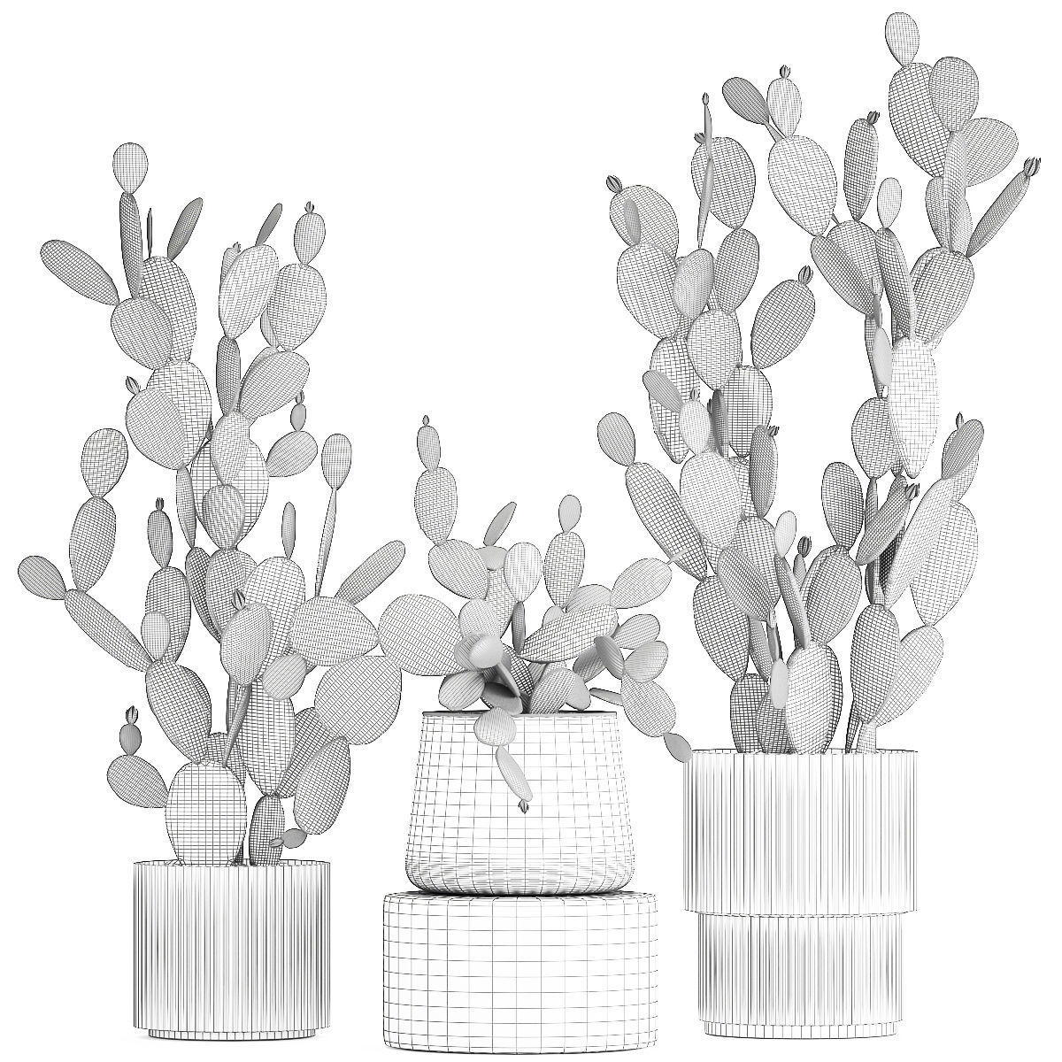 Set of beautiful prickly pear cacti in pots for interior 1334 3D model_13