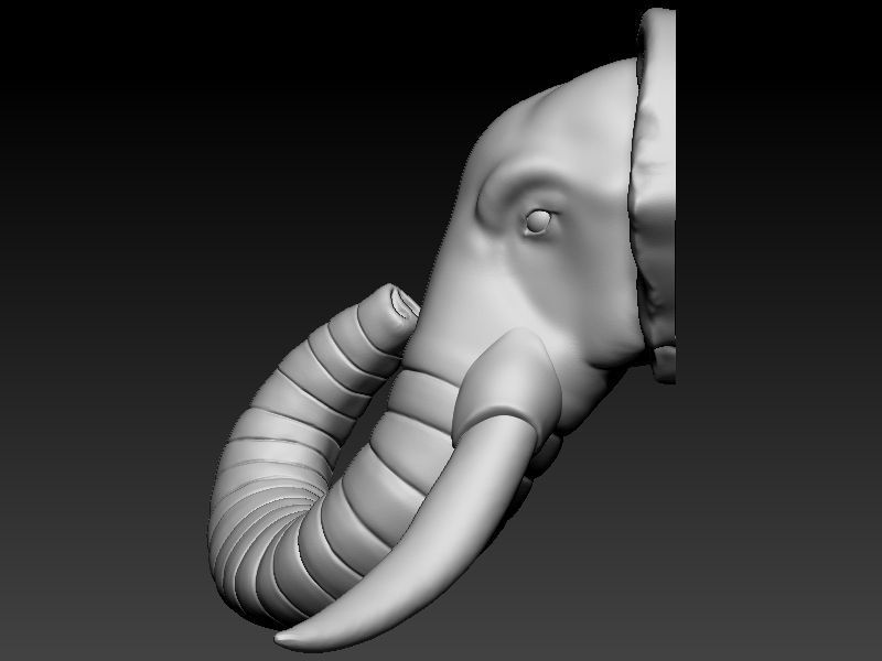 Elephant Head 3D print model_1