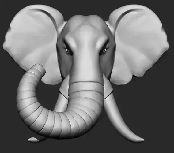 Elephant Head