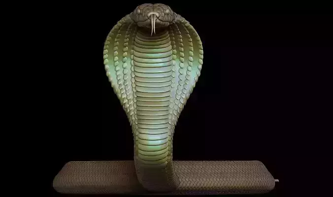 Kobra snake 3d model