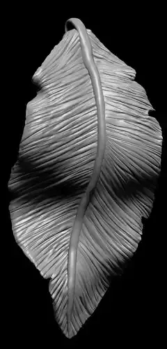 Leaf Model