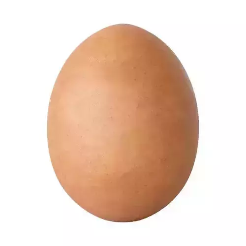 Egg 3d Models