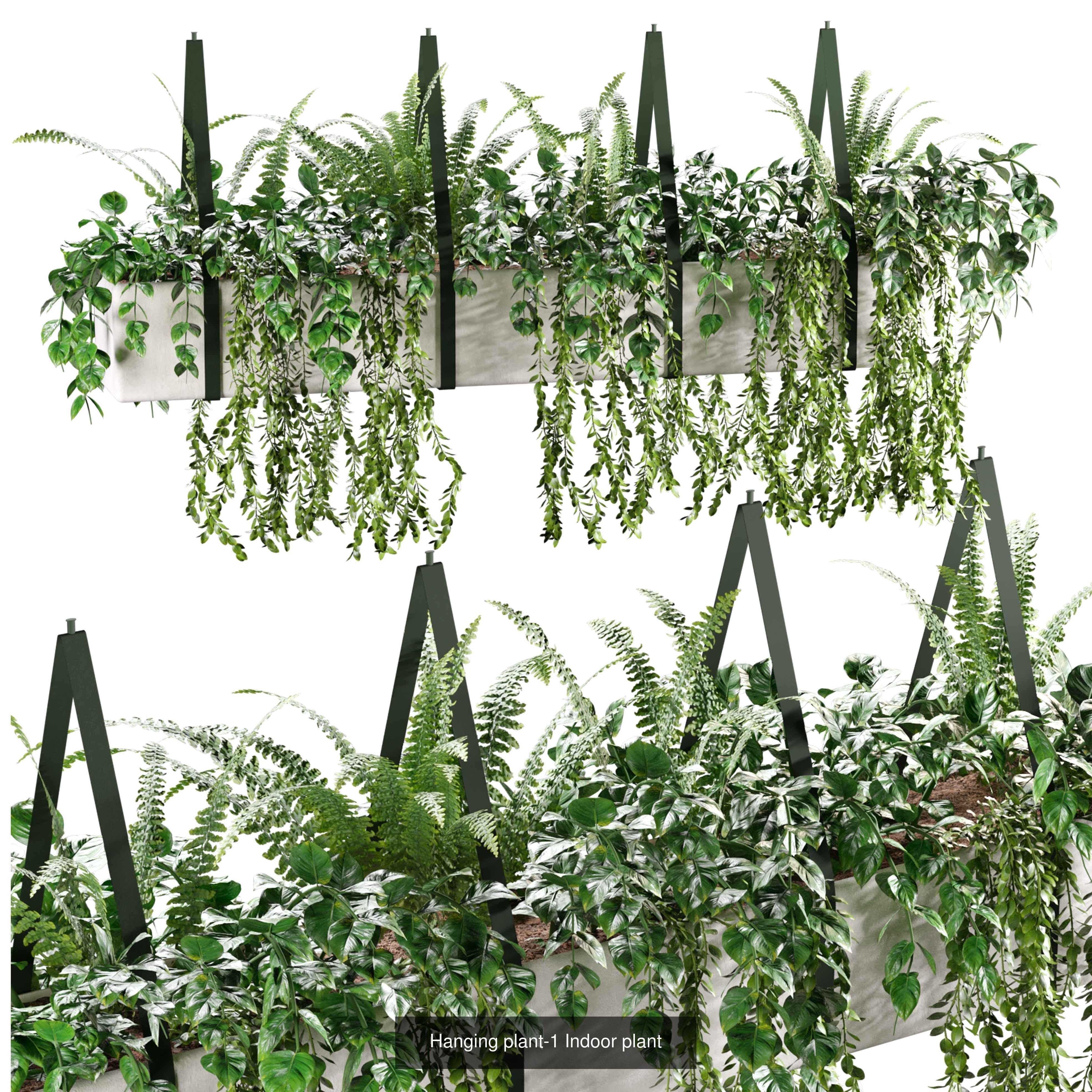 plant collection set 01  _3