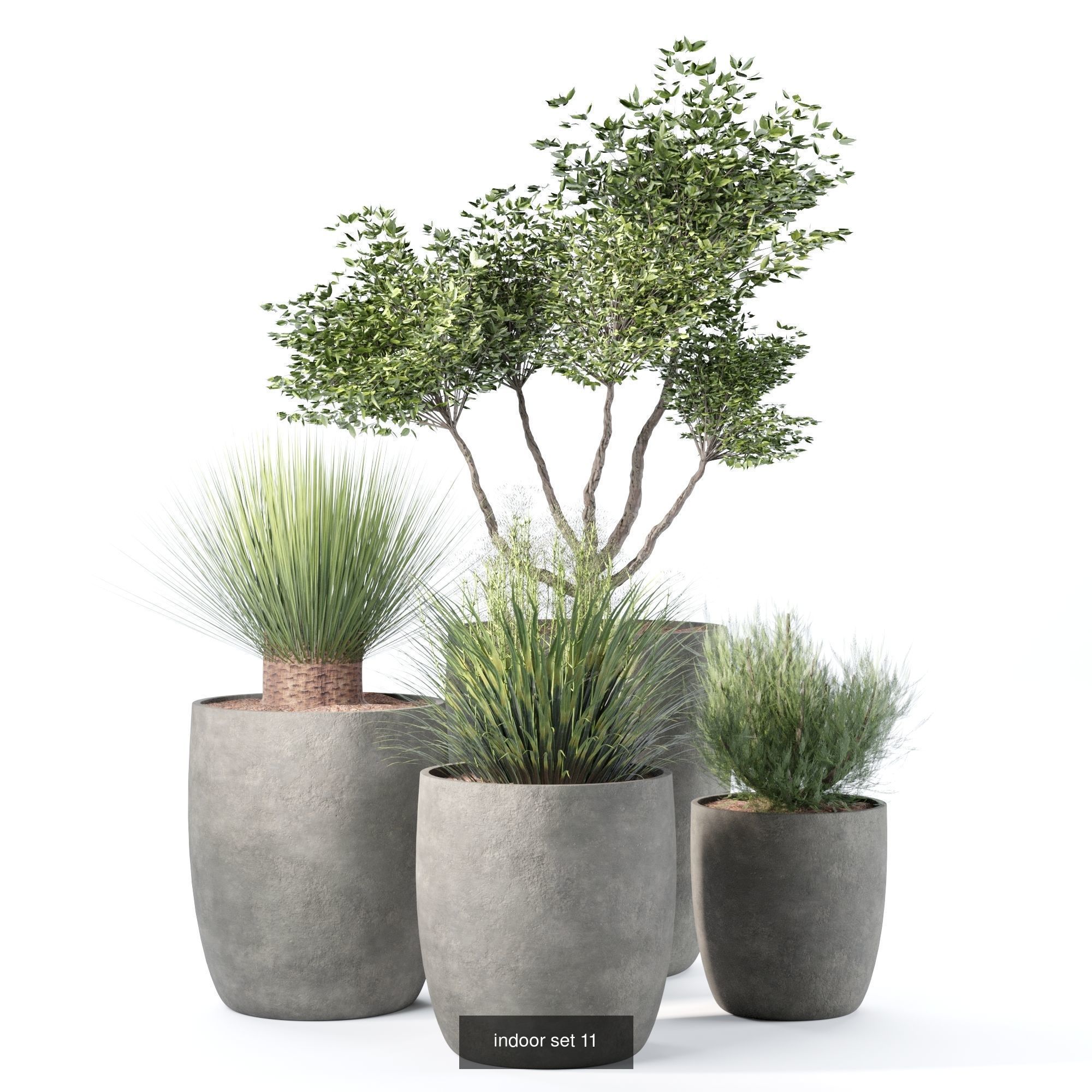 plant collection set 01  _4