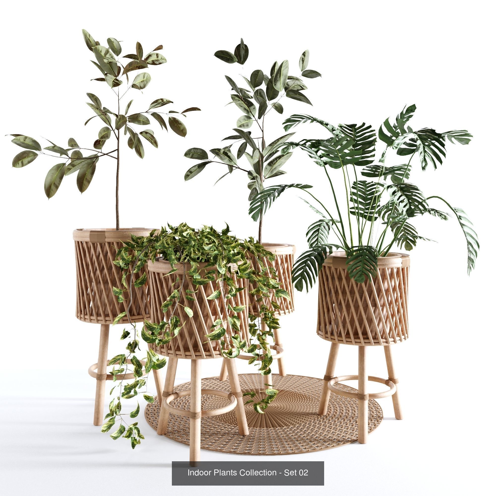 plant collection set 01  _1