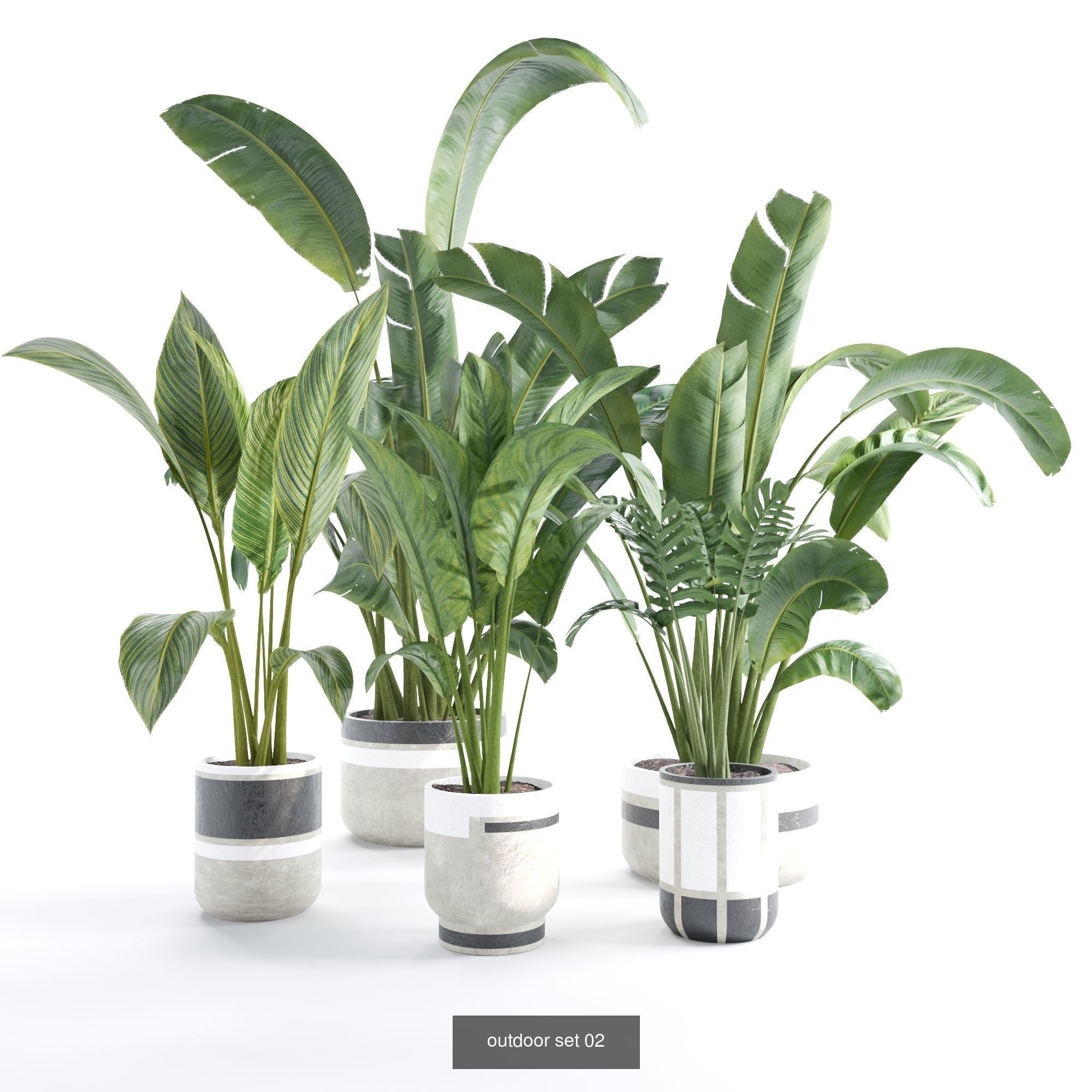 plant collection set 01  _2