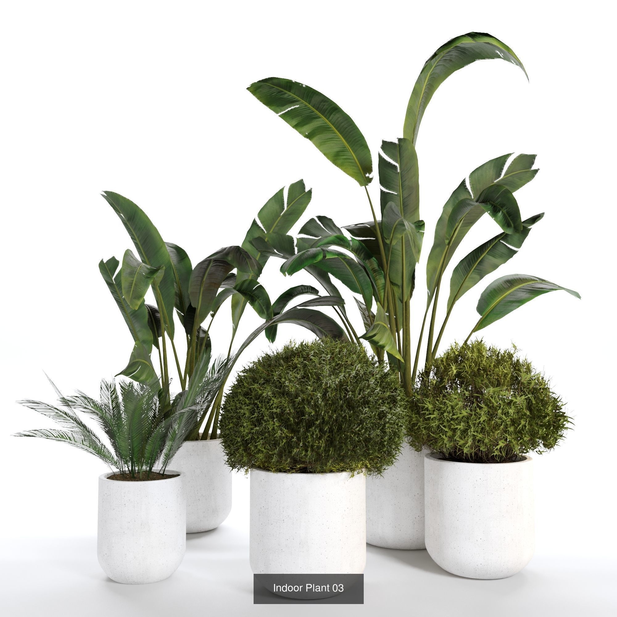 plant collection set 02 _4