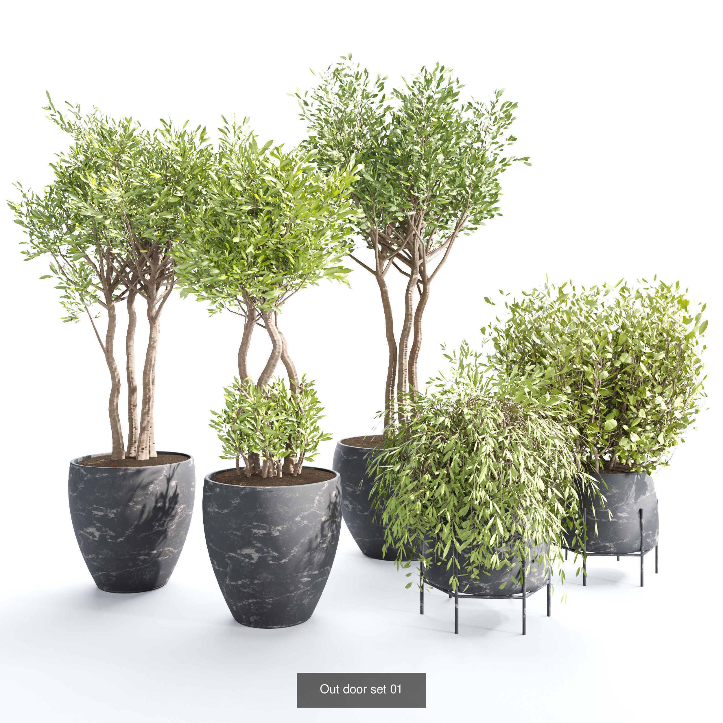 plant collection set 02 _3