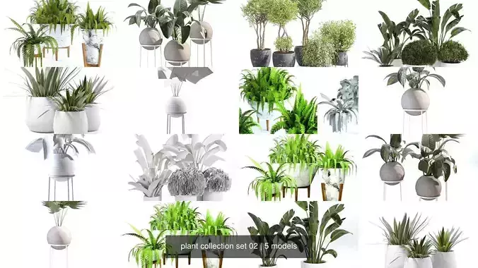 plant collection set 02 