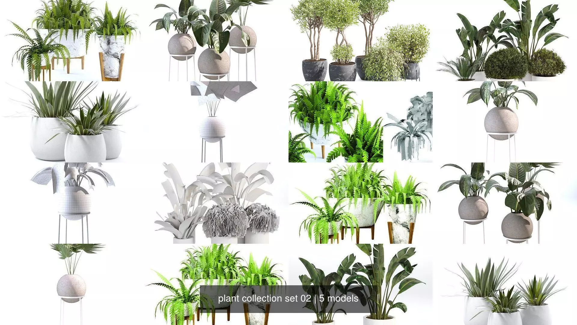 plant collection set 02 _0