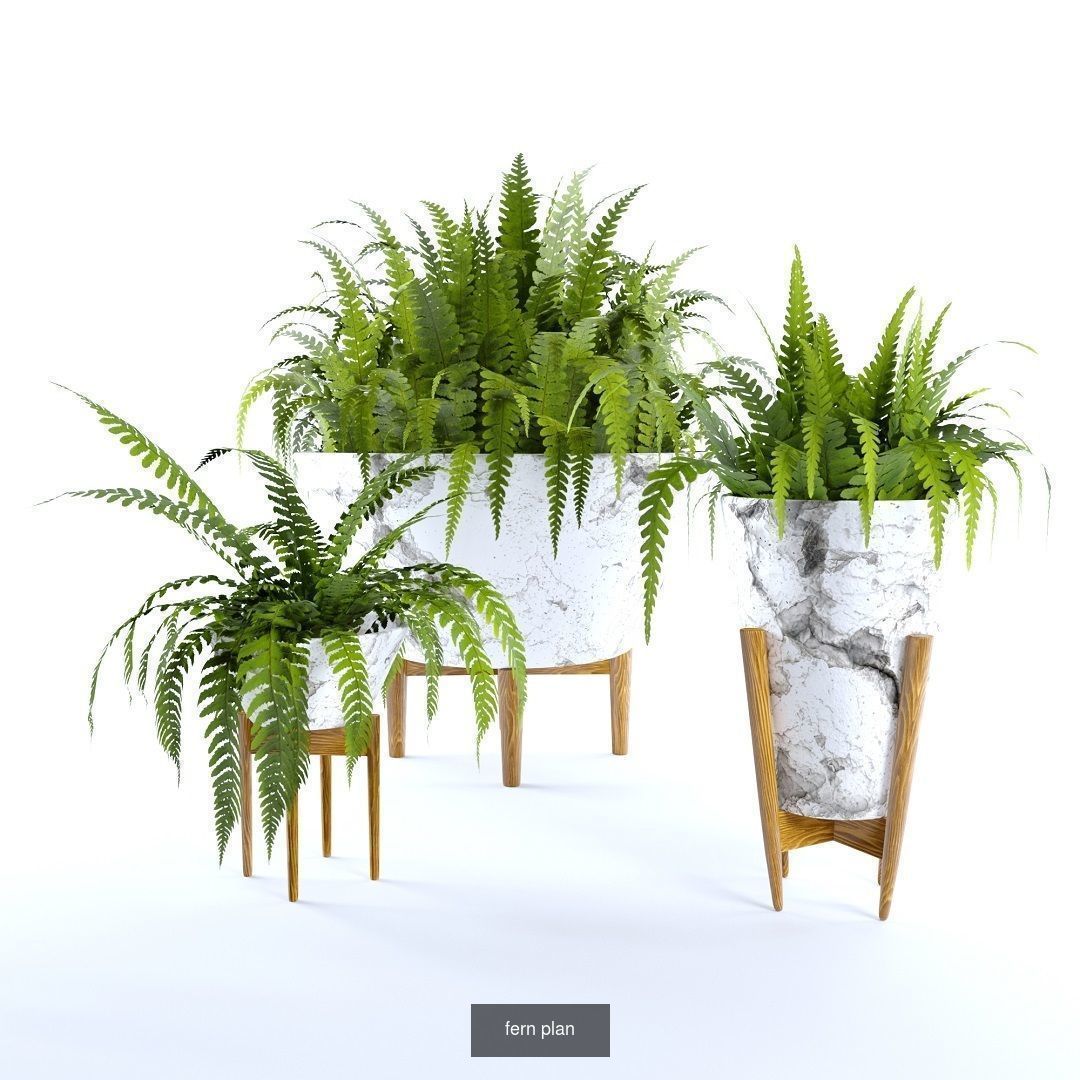 plant collection set 02 _1