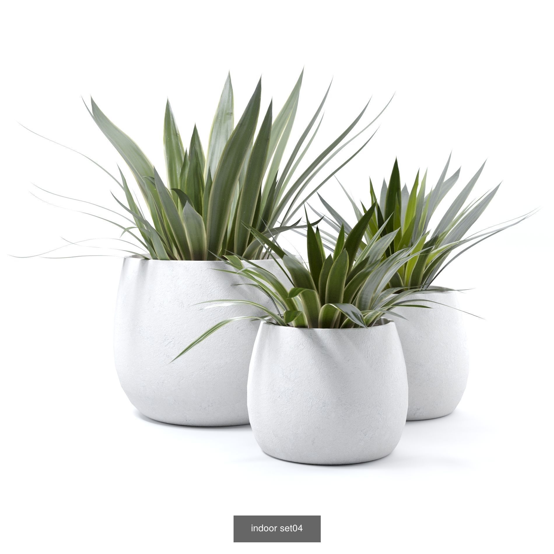 plant collection set 02 _5