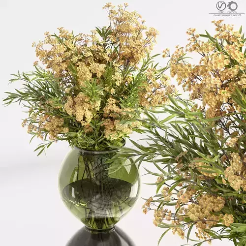 plants bouquet vase 22