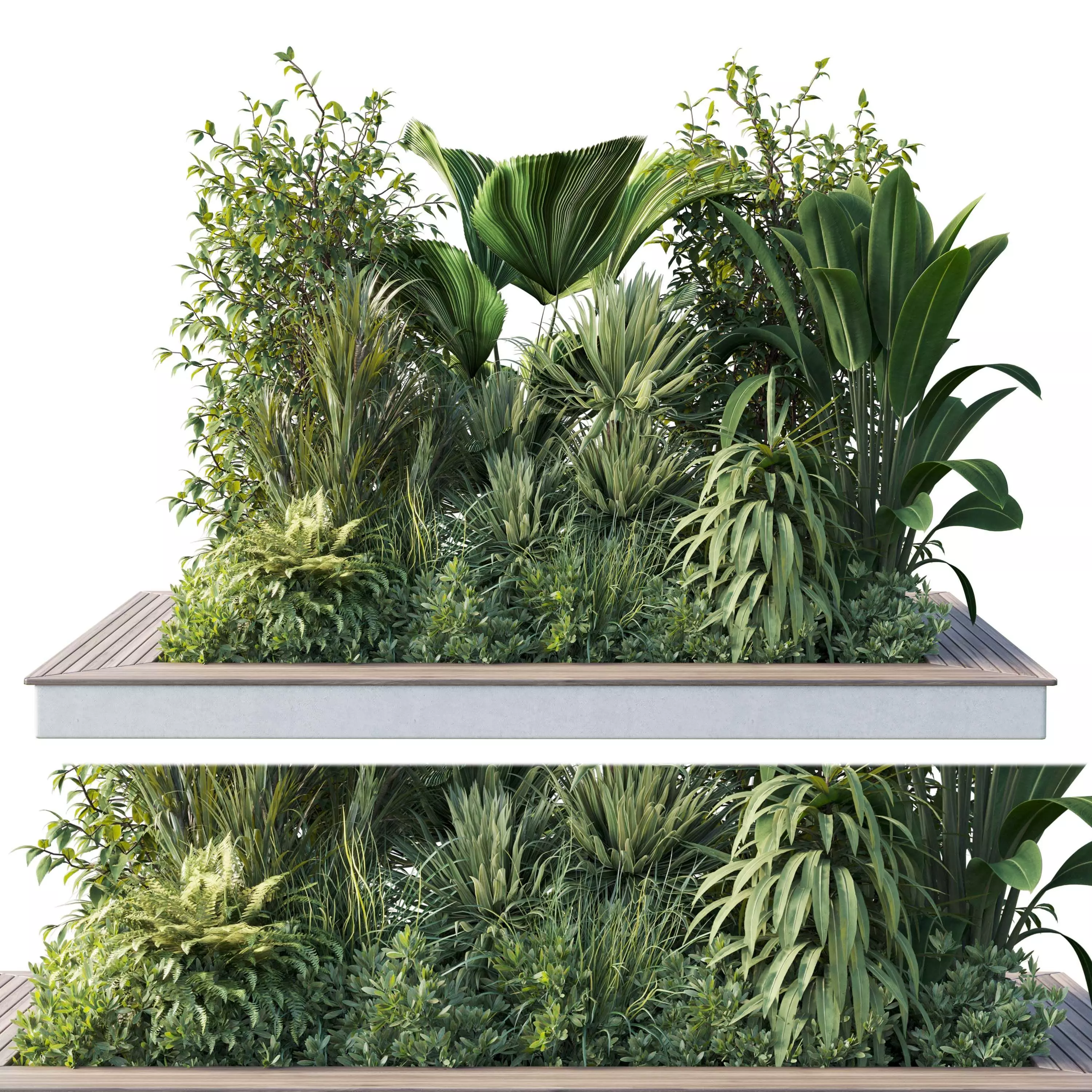 Garden plants set in a box - outdoor set 161 Low-poly 3D model_0
